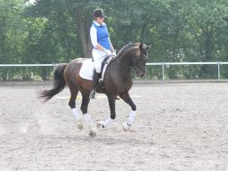 IMG_1393_web